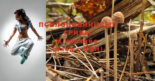 a pvp Балахна
